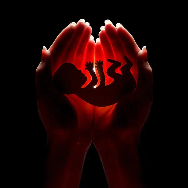 Aborto: É Sobre a Vida Humana