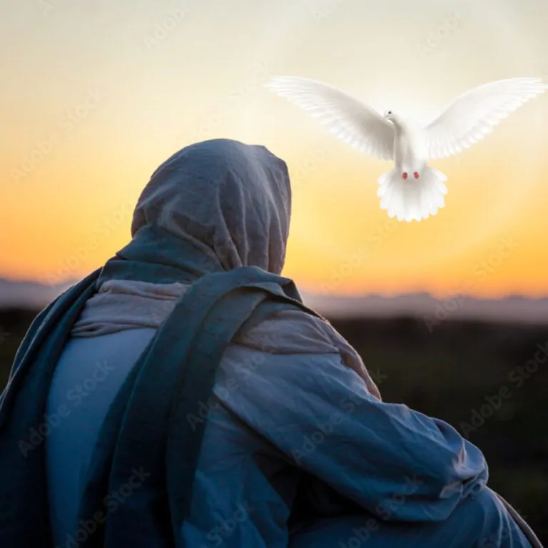 Transcendência Divina e Imanência